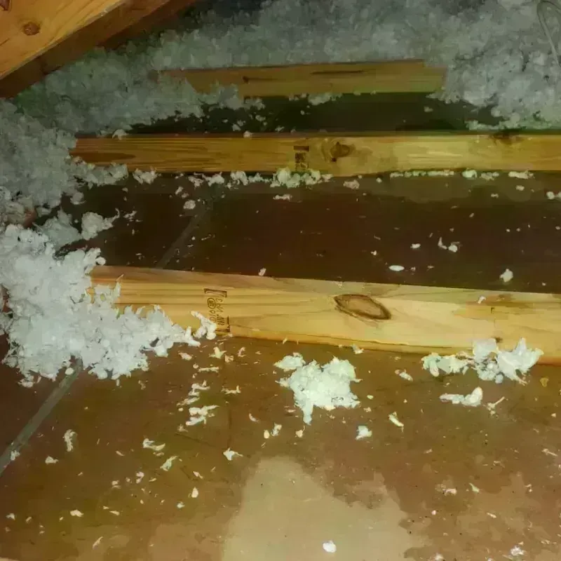 Attic Water Damage in Wibaux, MT